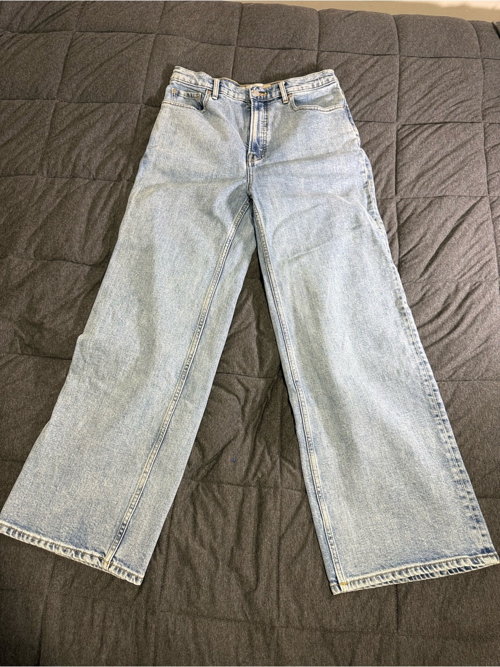 Everlane The Way-High Sailor Jean Light Wash Size 30 Regular Wide Leg
